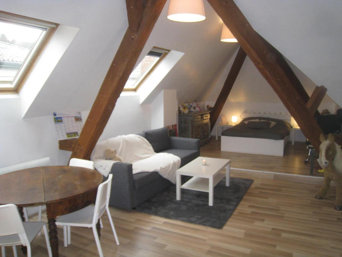 Chambres Privatives Chez L'Habitant Guebwiller Exterior photo